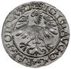 półgrosz 1565, Wilno; końcówki napisów L/LITVA; Cesnulis-Ivanauskas 4SA234-45 (RRR), Tyszkiewicz 8..