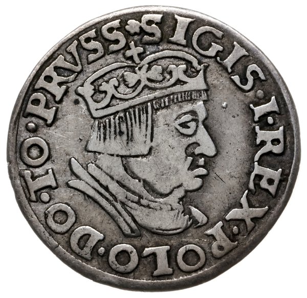 trojak 1536, Gdańsk; popiersie króla z wąską gło