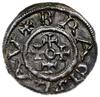 denar przed 1050; Aw: Krzyż z centralnym kółkiem i krzyżykami na ramionach, BRACISLAV; Rw: Popiers..