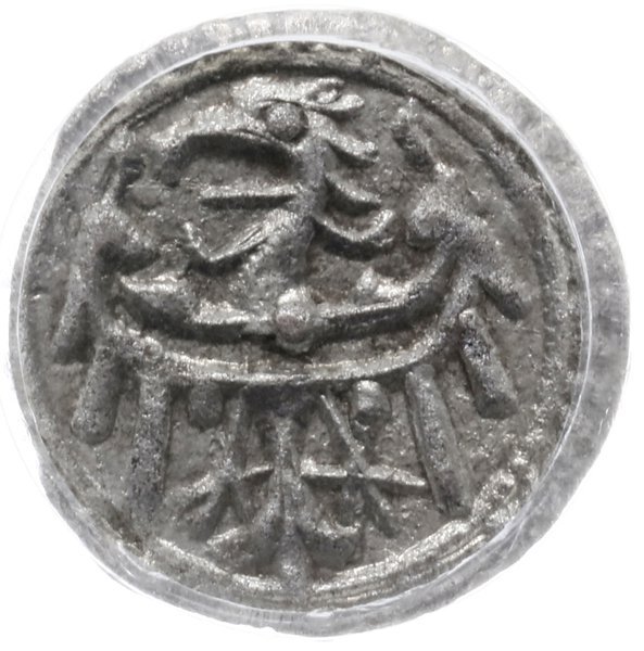 halerz 1420-1423, Lubin