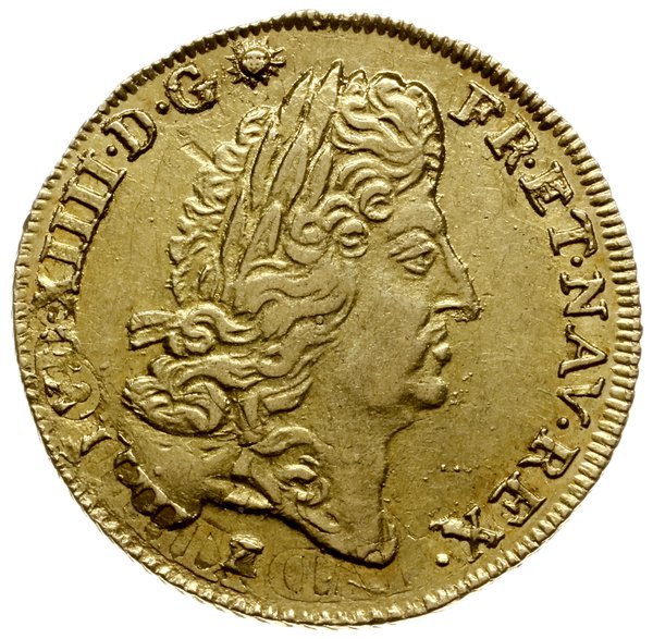 louis d’or a l’ecu 1691 I, Limoges