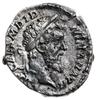 denar 193, Rzym; Aw: Głowa cesarza w prawo, IMP 