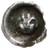 brakteat początek XIV w.; Lilia heraldyczna z pręcikami o wygiętych bocznych płatkach i dwu wąskic..