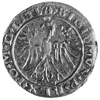 grosz 1536, Wilno, j.w., pod Pogonią litera I, K