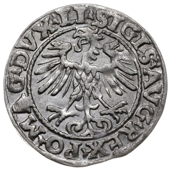 półgrosz 1554, Wilno