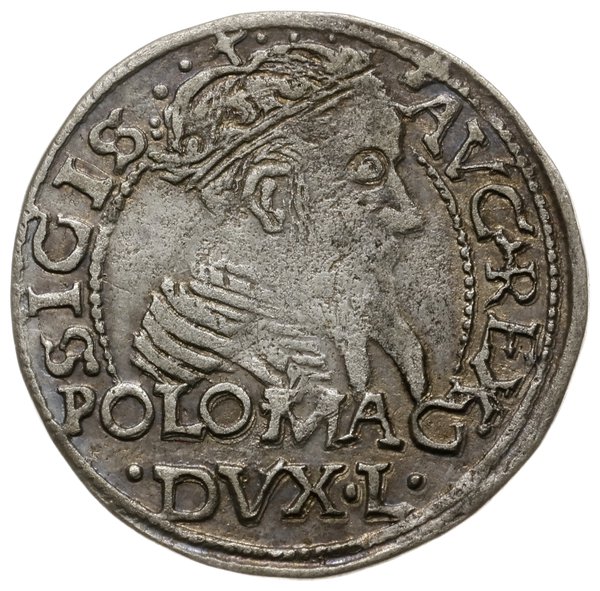 grosz na stopę polską, 1566, Tykocin