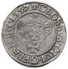 grosz 1557, Gdańsk; duża głowa króla ze szpiczastą brodą, końcówka napisu PRVS; CNG 89b var.  (bez..