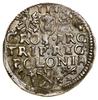 Trojak, 1594, Poznań; wydłużona twarz króla (kor
