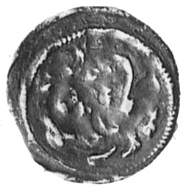 denar, Aw: Król w koronie, z berłem i jabłkiem, Rw: Gryf (lew) w koronie, C.819, 0,73 g.
