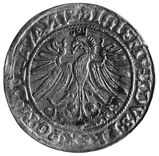 grosz 1535, Wilno, Aw: Orzeł i napis, Rw: Pogoń i napis, Kop.I.1a-R-, Gum. 514, T.7