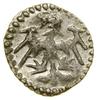 Denar koronny, (od 1404), Wschowa; Aw: Orzeł; Rw