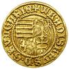 Goldgulden, (1443), Sybin (węg. Nagyszeben); Aw: Czteropolowa tarcza herbowa, + WLADISLAVS • D • G..