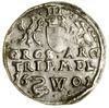 Trojak, 1601, Wilno; na rewersie data 16 - 01 ro