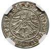 Szeląg, 1558, Królewiec; Kop. 3768 (R), Slg. Marienburg 1223, Vossberg 1411; piękny stan zachowani..