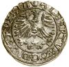 Szeląg, 1558, Królewiec; Kop. 3768 (R), Slg. Marienburg 1223, Vossberg 1411; delikatna patyna,  pi..