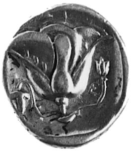 KARIA- Rodos (387-304 p.n.e.), didrachma, Aw: Głowa Heliosa na wprost, Rw: Kwiat róży, po lewej kiść winogron,na prawo pączek, Sear 5037, BMC 18.233.27-9, 6,8 g.
