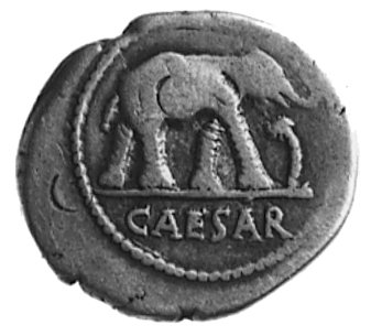 denar, Aw: Słoń kroczący w prawo, w odcinku napis: CAESAR, Rw: Simpulum, kropidło, siekiera i kapelusz kapłana,kontramarka ¶, Sear 49, Craw.431/1, 3.6 g.