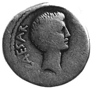 Marek Agryppa, denar (38 p.n.e.), Aw: Głowa Augusta w prawo i napis ..CAESAR.., Rw: Napis poziomy: M.AGRIPPA CO.. DESIG., Sear 545 (Julia 131, Vipsania 3), Craw.534/3, 3.7 g.