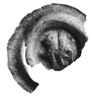 Dolny Śląsk, brakteat szeroki (2. poł. XIII w.), Fbg 697, wyszczerbiony, lecz bardziej czytelny od dotychczasreprodukowanych