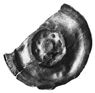 Dolny Śląsk, brakteat szeroki (2. poł. XIII w.), Fbg 650, 22.3 mm, 0.35 g., popękany i ułamany