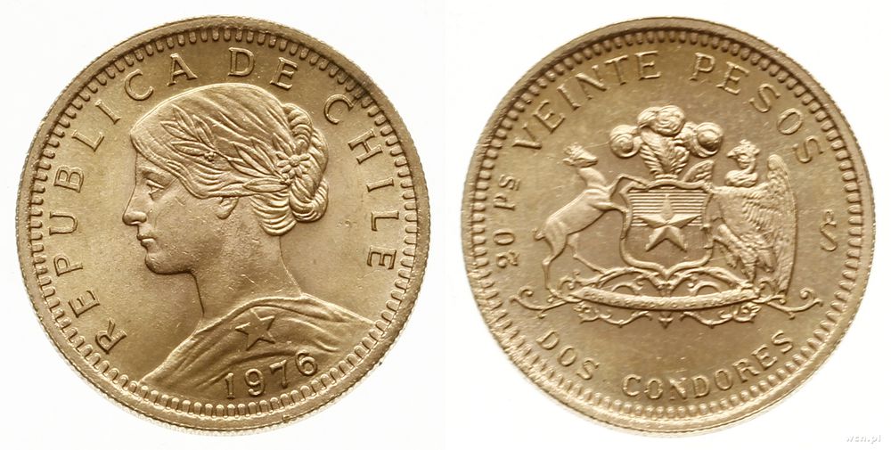 Chile, 20 peso (2 kondory), 1976