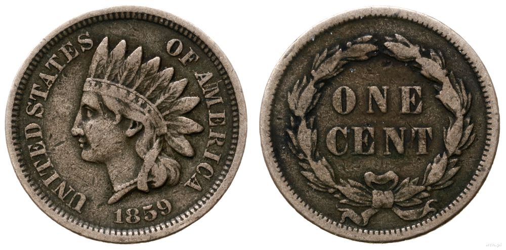 Stany Zjednoczone Ameryki (USA), 1 cent, 1859