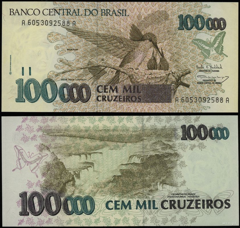 Brazylia, 100.000 cruzeiros, 1993