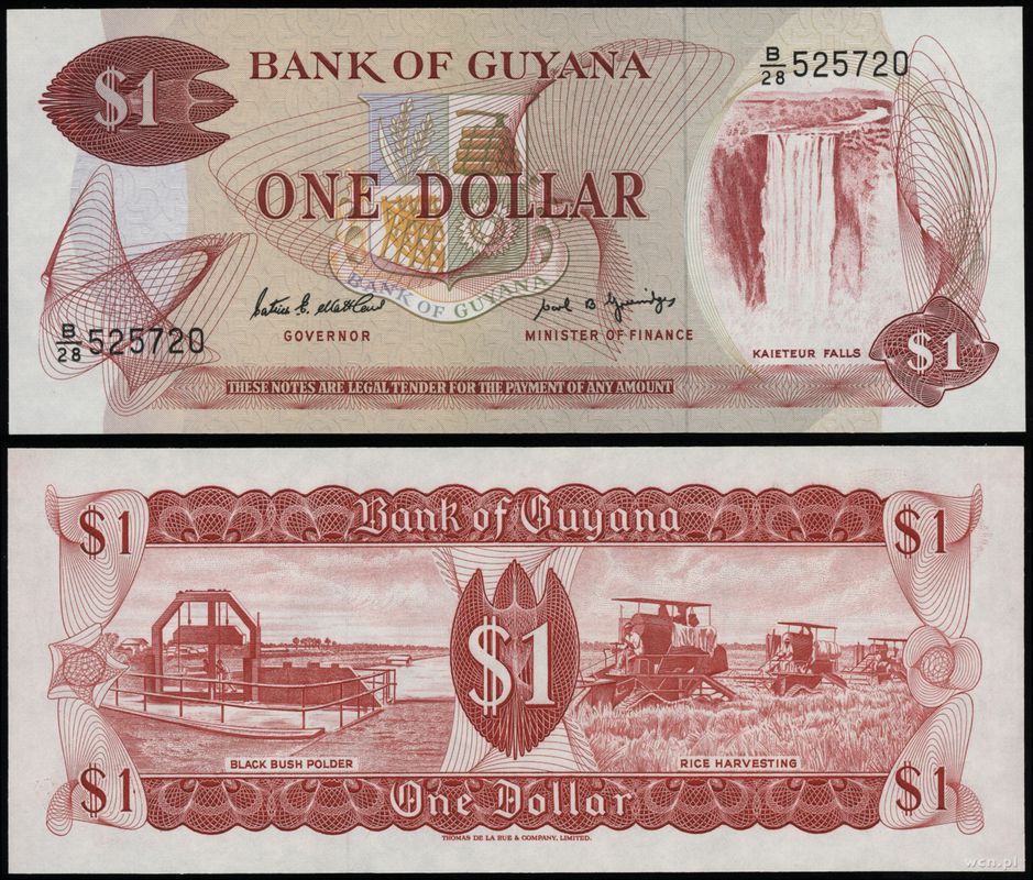 Gujana, 1 dolar, 1989