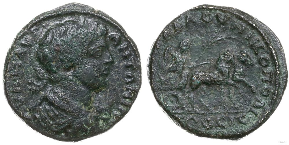 Rzym Kolonialny, brąz, 198-217