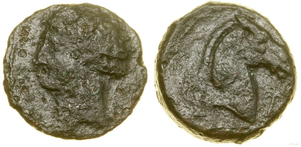 Grecja i posthellenistyczne, brąz, 300–264 pne