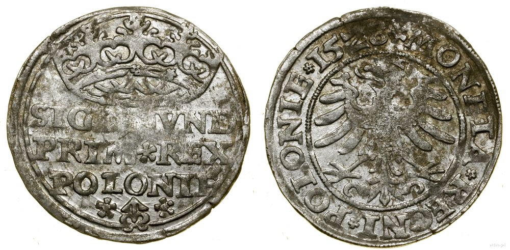 Polska, grosz, 1528