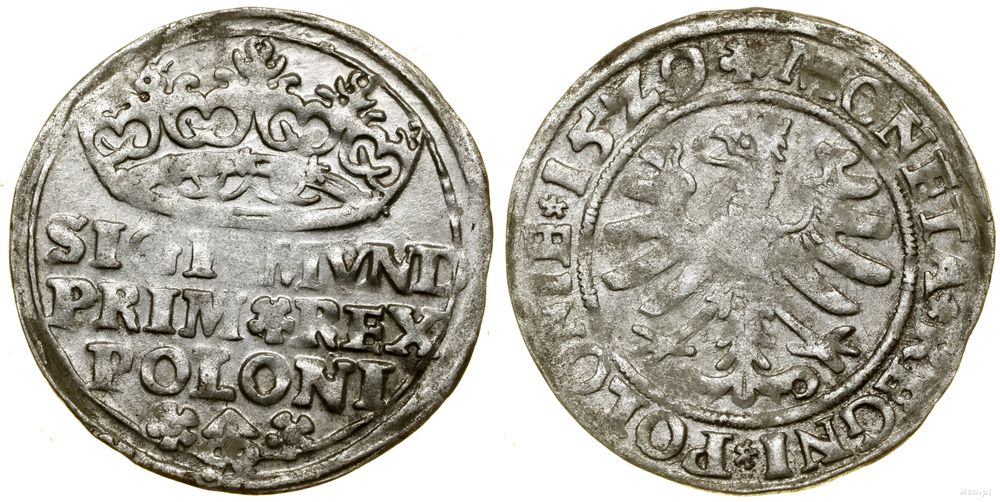Polska, grosz, 1529