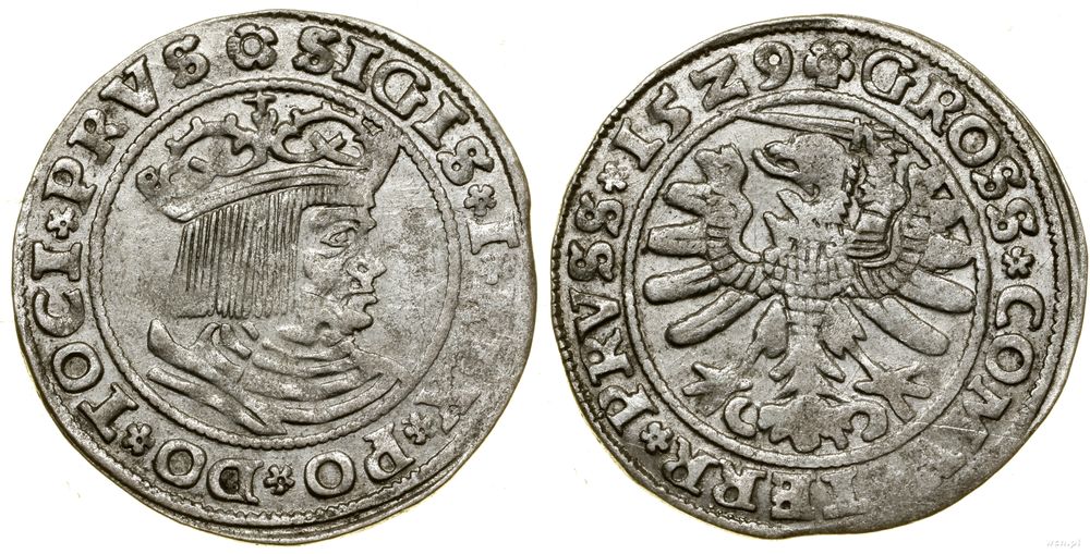 Polska, grosz, 1529