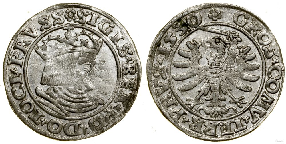 Polska, grosz, 1530
