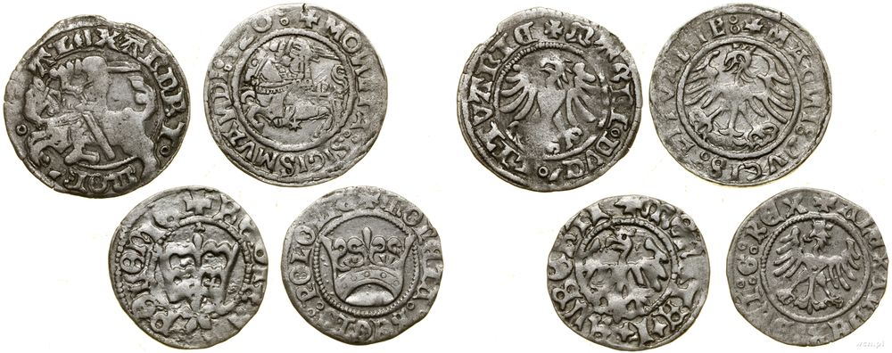 Polska, zestaw 4 półgroszy Jagiellonów