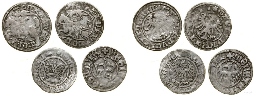 Polska, zestaw 4 półgroszy Jagiellonów