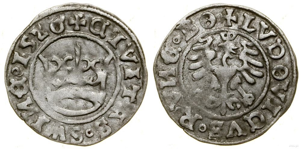 Śląsk, półgrosz miejski, 1526