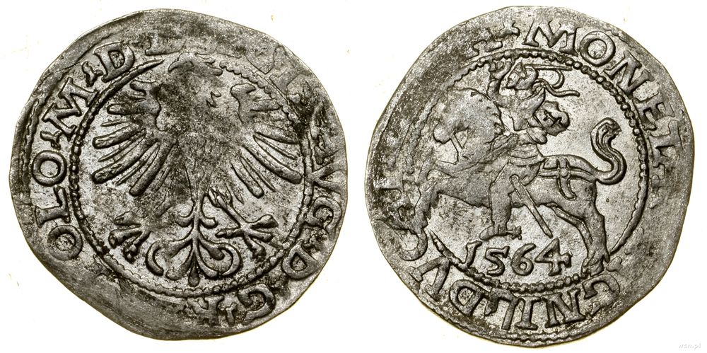 Polska, półgrosz, 1564