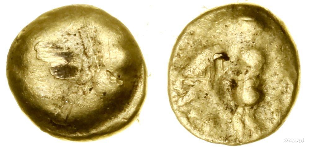 Bojowie, 1/24 statera typu Atena-Alkis