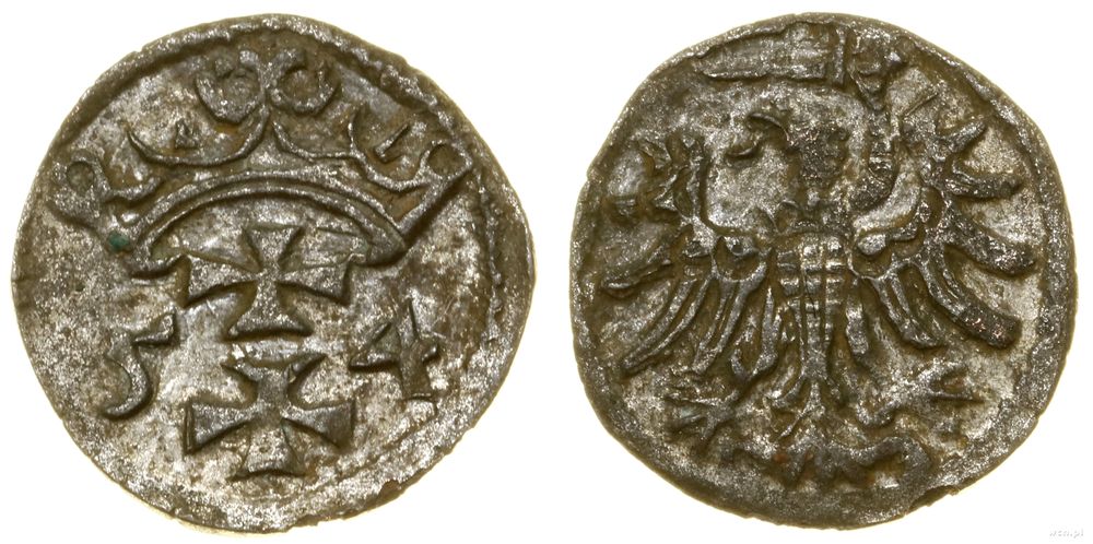 Polska, denar, 1554