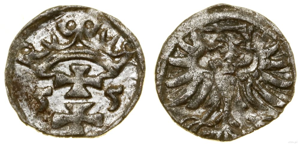 Polska, denar, 1555