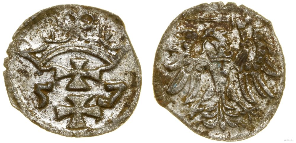 Polska, denar, 1557
