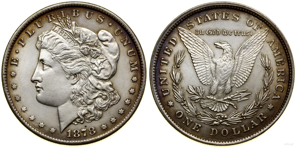 Stany Zjednoczone Ameryki (USA), 1 dolar, 1878