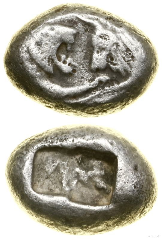 Grecja i posthellenistyczne, 1/2 statera, VI w. pne