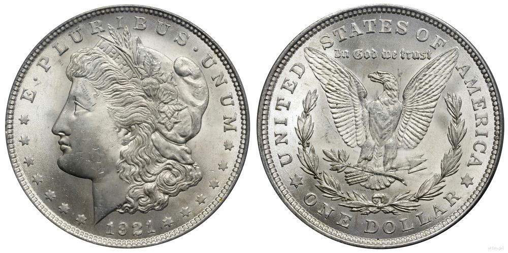 Stany Zjednoczone Ameryki (USA), 1 dolar, 1921