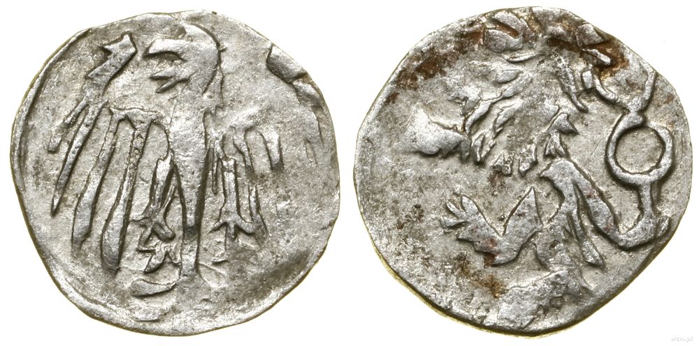 Śląsk, halerz na stopę wrocławską, (1457–1465)