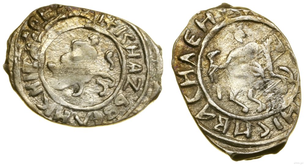 Wielkie Księstwo Moskiewskie, dienga, 1423–1425