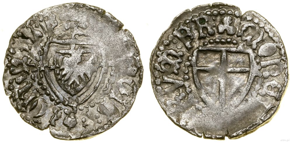 Zakon Krzyżacki, szeląg