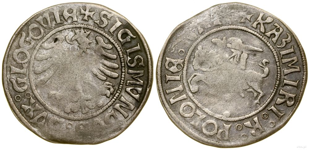 Polska, grosz, bez daty (1505)