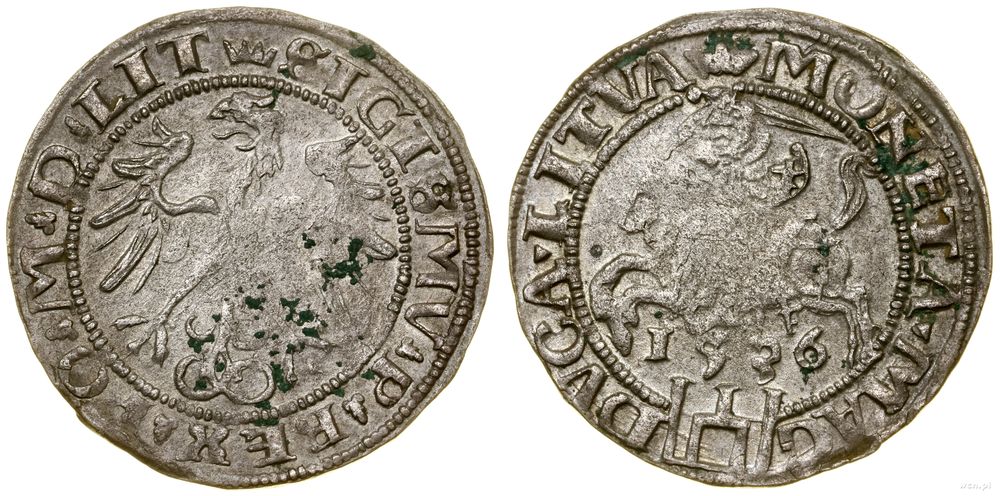 Polska, grosz, 1536 F